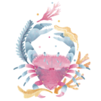 PTES-WILDFATHER's Avatar'