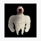 Storm.Punch's Avatar'