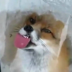 TheOtherSlug's Avatar'