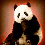 snowXpanda's Avatar