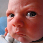 Bikeal_Laney's Avatar'