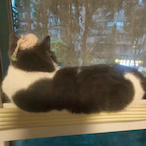 WhutOpps7805's Avatar'