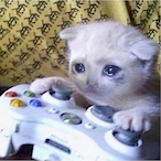 pug goons's Avatar'