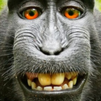 siimo_m's Avatar'