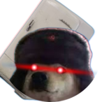 Hungry_Shibainu's Avatar'
