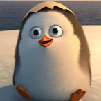 CuteR6Player's Avatar'