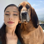 Gustavotx.'s Avatar'