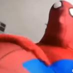 KnightlyRaccoon's Avatar'