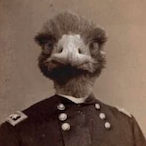 Emu___'s Avatar'