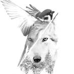 Haywood_Jablomy's Avatar'