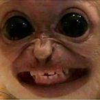 monky_OwO's Avatar'