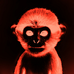 Arctix_ED's Avatar'