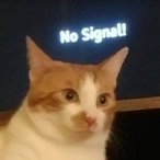 RandomBoi_'s Avatar'