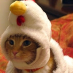 Chicken.Cat's Avatar'