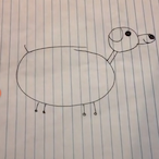 Dogiscracked's Avatar'