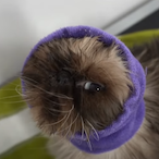 TheFrenchMan.'s Avatar'