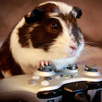 TheFatGuineapig's Avatar'