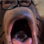 Mumble491's Avatar'