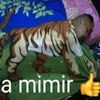 Sacimacii's Avatar'