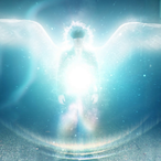 goodshow81's Avatar'