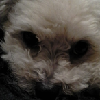 Haiworld.Potato's Avatar'