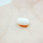 bird355sy's Avatar'