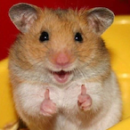 NannaHUA's Avatar'