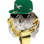 hamluh_'s Avatar'