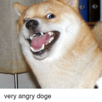 Umm_woof's Avatar'