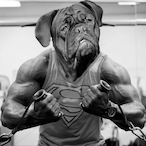 nutbucket22's Avatar'