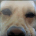 Teag_Bruh's Avatar'