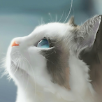 zai-zhe-li-o's Avatar'