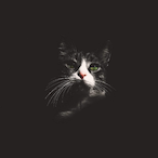 MR_XN's Avatar'