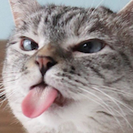 Catter7's Avatar'