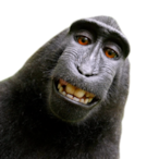 Ironicsnow520's Avatar'