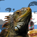 IguanaPeronista's Avatar'