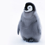 junebus0212's Avatar'