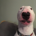 hennydmilk's Avatar'