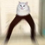 A_Bundle_Of_Egg's Avatar'
