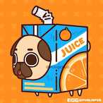 zMemeZ-'s Avatar'