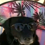 LuizimtvL2D2's Avatar'