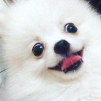 Qish.'s Avatar'