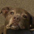 twelvestates's Avatar