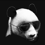 miikkey-'s Avatar'
