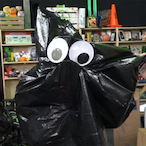 lilsharky79's Avatar'