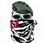 VIPER-BR's Avatar'