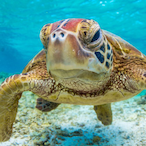 bauticabauau's Avatar'