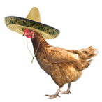 Mr_ChickenFury's Avatar'