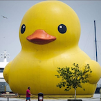 RubberDucky200's Avatar'