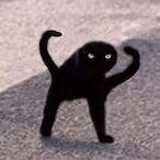 CatMilk011's Avatar'